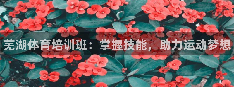 富联娱乐玩法机制介绍：芜湖体育培训班：掌握技能，助力